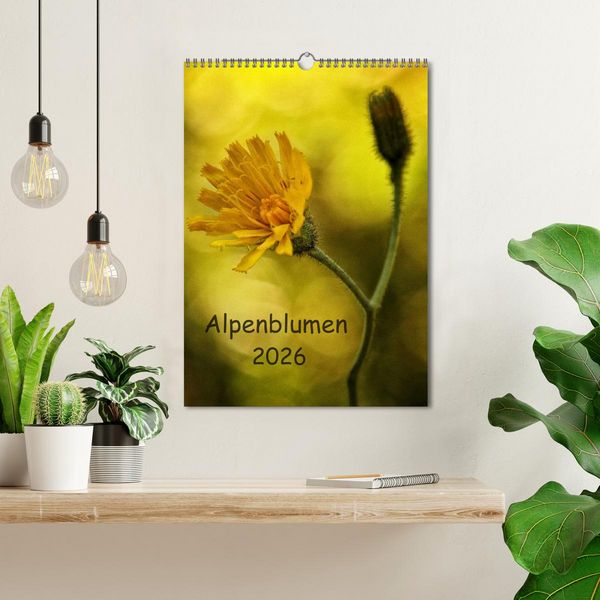 Produktbild: Alpenblumen 2026 (Wandkalender 2026 DIN A3 hoch), CALVENDO Monatskalender