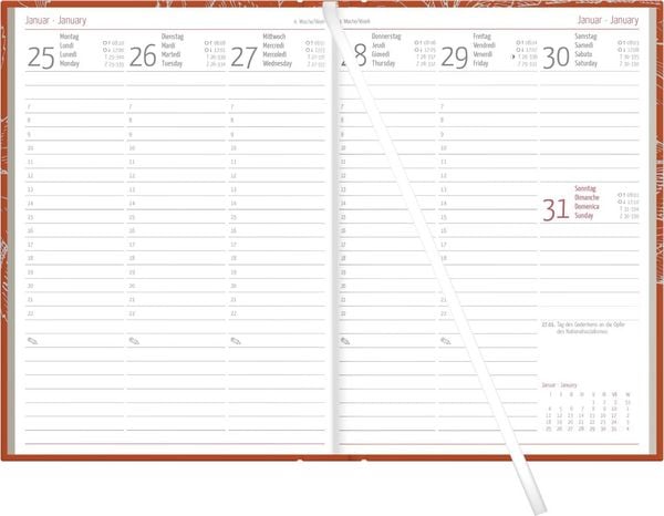 Produktbild: Wochenbuch Blauer Engel chestnut 1W/2S 2027