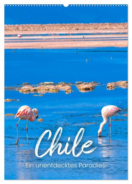 Produktbild: Chile - Ein unentdecktes Paradies. (Wandkalender 2026 DIN A2 hoch), CALVENDO Monatskalender