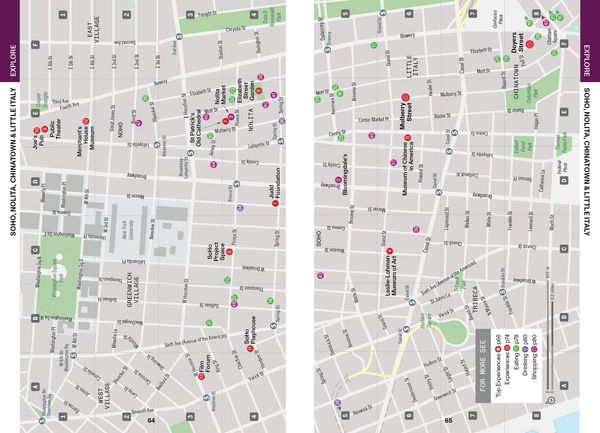 Produktbild: Lonely Planet Pocket New York City