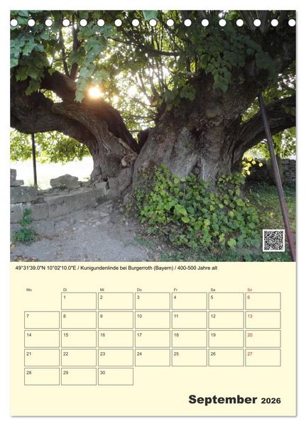 Produktbild: Uralt - Mit QR-Code und GPS zu alten B&auml;umen (Tischkalender 2026 DIN A5 hoch), CALVENDO Monatskalender