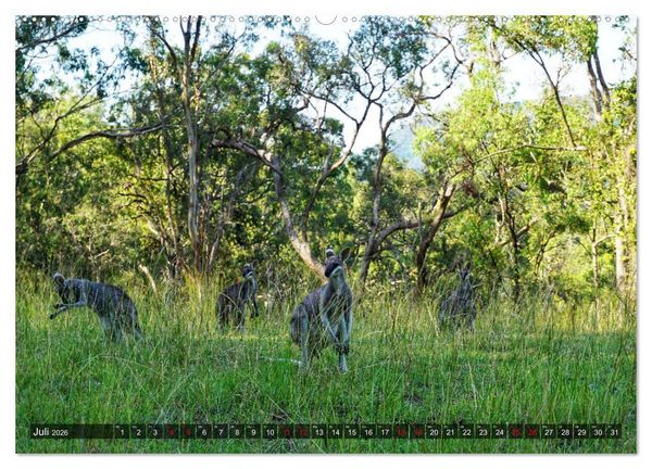 Produktbild: Australien (Wandkalender 2026 DIN A2 quer), CALVENDO Monatskalender