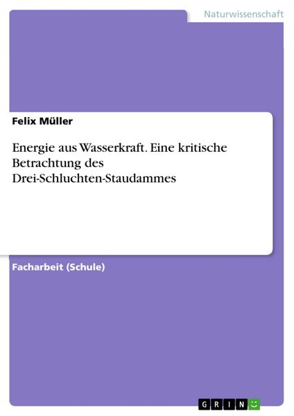 Produktbild: Energie aus Wasserkraft. Eine kritische Betrachtung des Drei-Schluchten-Staudammes