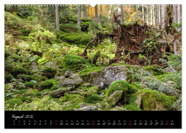 Produktbild: Bayerischer Wald (hochwertiger Premium Wandkalender 2026 DIN A2 quer), Kunstdruck in Hochglanz