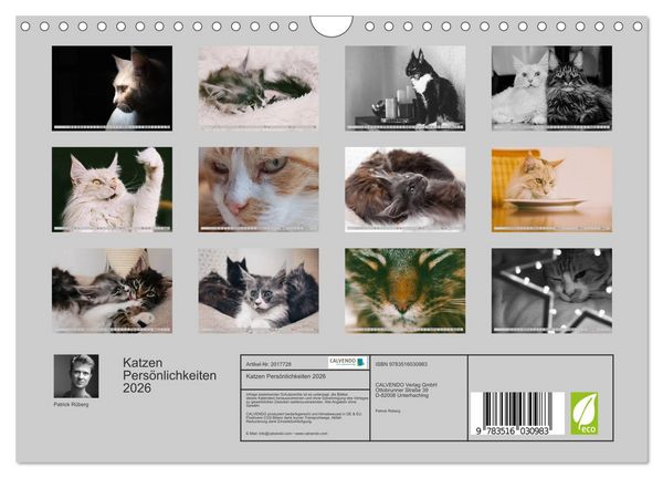 Produktbild: Katzen Pers&ouml;nlichkeiten 2026 (Wandkalender 2026 DIN A4 quer), CALVENDO Monatskalender