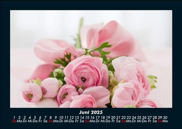 Produktbild: Rosentraum 2025 Fotokalender DIN A5