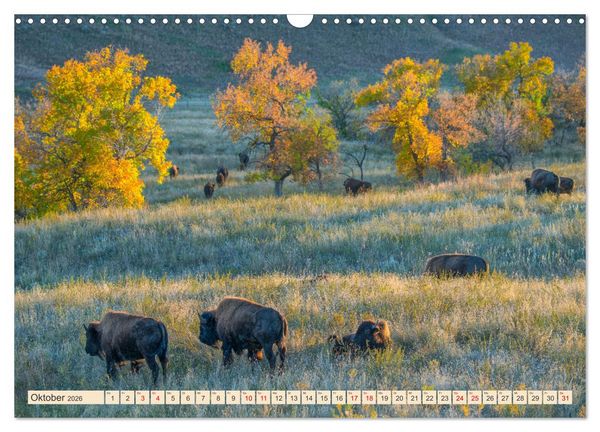 Produktbild: Sioux Im Lande von Sitting Bull (Wandkalender 2026 DIN A3 quer), CALVENDO Monatskalender