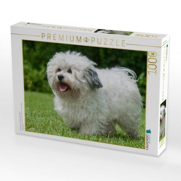 Produktbild: CALVENDO Puzzle Havaneser - Ein Herz auf 4 Pfoten | 1000 Teile Lege-Gr&ouml;&szlig;e 64x48cm Foto-Puzzle f&uuml;r gl&uuml;ckliche Stunden