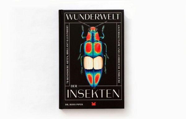 Produktbild: Wunderwelt der Insekten