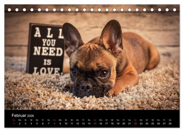 Produktbild: French Bulldog aktiv, verspielt, sportlich (Tischkalender 2026 DIN A5 quer), CALVENDO Monatskalender