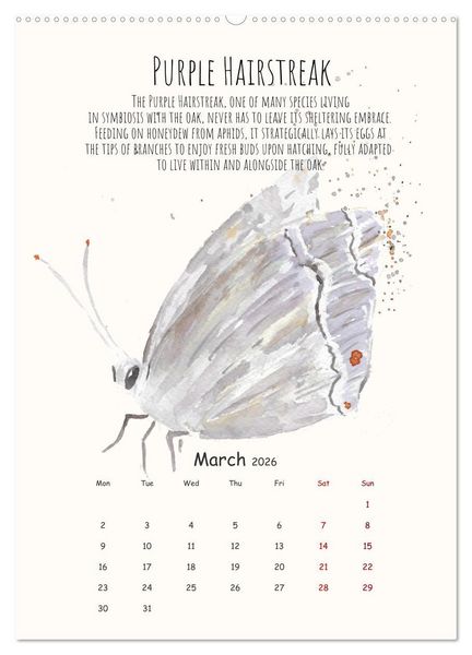 Produktbild: Symbiosis, the story of collaborations in nature (Wall Calendar 2026 DIN A2 portrait), CALVENDO 12 Month Wall Calendar
