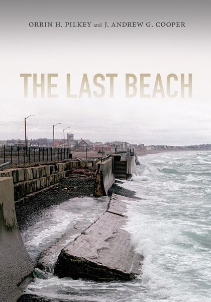 Produktbild: Last Beach
