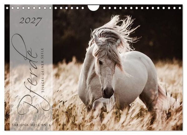 Produktbild: Pferde - Spiegel deiner Seele (Wandkalender 2027 DIN A4 quer), CALVENDO Monatskalender