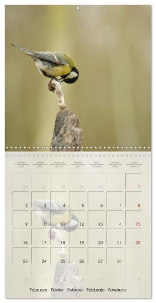 Produktbild: Le jardin des m&eacute;sanges (Calendrier mural carr&eacute; 2026 30x30 cm) Calendrier double avec une page pour vos prises de notes
