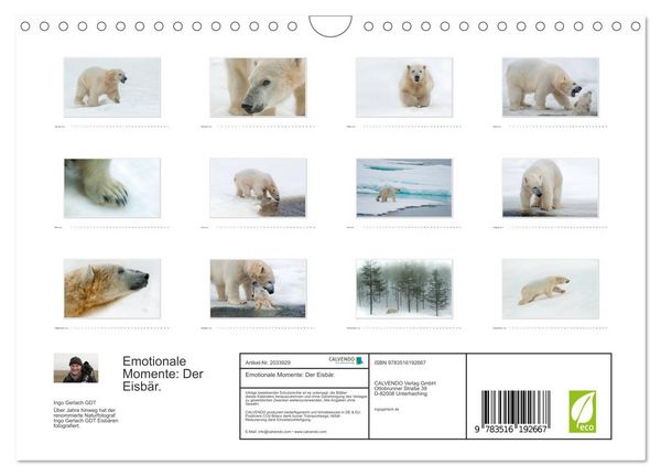 Produktbild: Emotionale Momente: Der Eisb&auml;r. (Wandkalender 2026 DIN A4 quer), CALVENDO Monatskalender