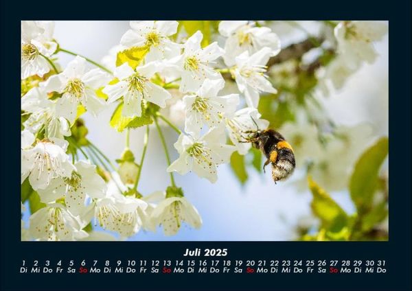 Produktbild: Blumenzauber 2025 Fotokalender DIN A4