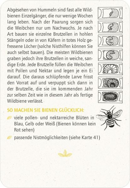 Produktbild: Blatt & Bl&uuml;te Insektengl&uuml;ck