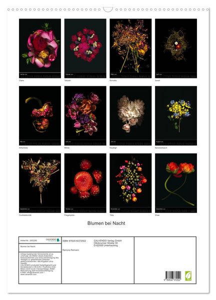 Produktbild: Blumen bei Nacht (Wandkalender 2026 DIN A2 hoch), CALVENDO Monatskalender