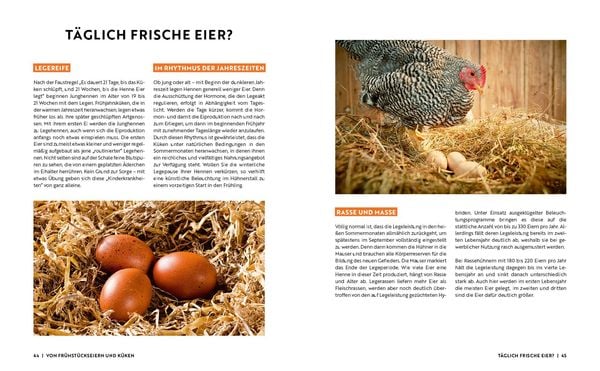 Produktbild: Gartenmomente: H&uuml;hner