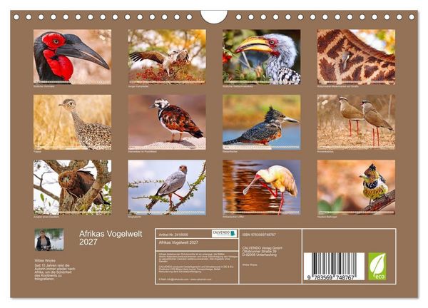 Produktbild: Afrikas Vogelwelt 2027 (Wandkalender 2027 DIN A4 quer), CALVENDO Monatskalender