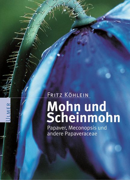 Mohn und Scheinmohn, Taschenbuch von Fritz Köhlein, Verlag Eugen Ulmer, 9783800139217