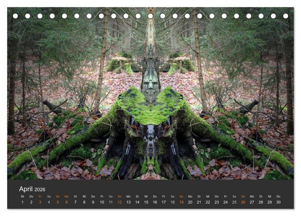 Produktbild: Spiegelwelten - Im Reich der Naturwesen (Tischkalender 2026 DIN A5 quer), CALVENDO Monatskalender