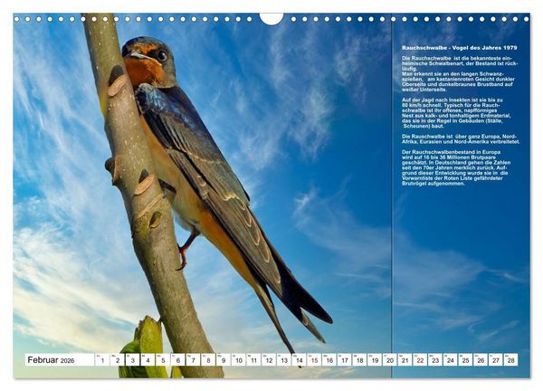 Produktbild: Heimische V&ouml;gel des Jahres (Wandkalender 2026 DIN A3 quer), CALVENDO Monatskalender
