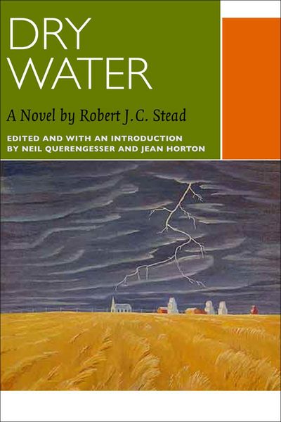 Produktbild: Stead, R: Dry Water