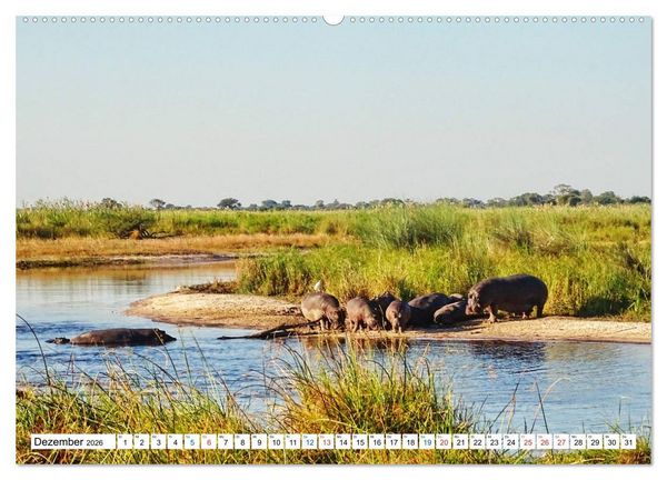 Produktbild: Namibia, Faszination W&uuml;ste und Tierwelt (hochwertiger Premium Wandkalender 2026 DIN A2 quer), Kunstdruck in Hochglanz