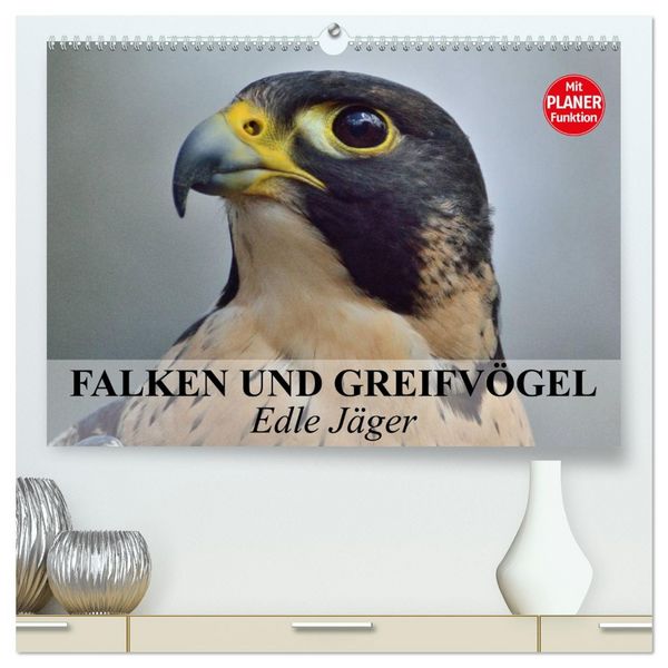 Produktbild: Falken und Greifv&ouml;gel - Edle J&auml;ger (hochwertiger Premium Wandkalender 2026 DIN A2 quer), Kunstdruck in Hochglanz
