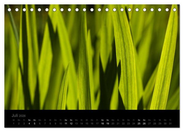Produktbild: Natur im Detail (Tischkalender 2026 DIN A5 quer), CALVENDO Monatskalender