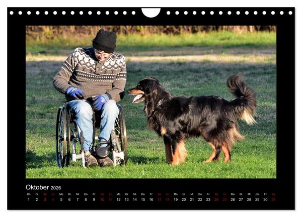 Produktbild: Der Hovawart... Dein Freund f&uuml;rs Leben ! (Wandkalender 2026 DIN A4 quer), CALVENDO Monatskalender