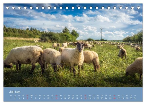 Produktbild: Kronsberg Hannover (Tischkalender 2026 DIN A5 quer), CALVENDO Monatskalender