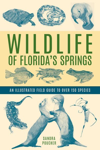 Produktbild: Wildlife of Florida's Springs