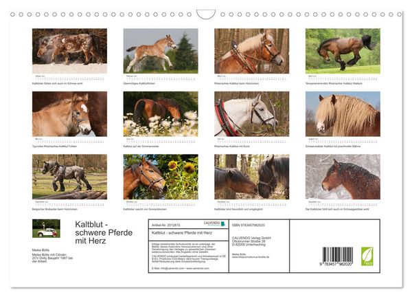 Produktbild: Kaltblut - schwere Pferde mit Herz (Wandkalender 2026 DIN A3 quer), CALVENDO Monatskalender