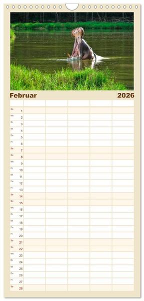 Produktbild: Familienplaner 2026 - Flusspferde - gem&uuml;tlich gef&auml;hrlich mit 5 Spalten (Wandkalender, 21 x 45 cm) CALVENDO