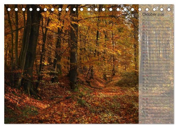 Produktbild: Unser Wald - Magische Sichten in norddeutsche W&auml;lder / Geburtstagskalender (Tischkalender 2026 DIN A5 quer), CALVENDO Monatskalender