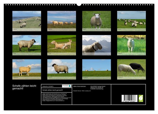 Produktbild: Schafe z&auml;hlen leicht gemacht! (hochwertiger Premium Wandkalender 2026 DIN A2 quer), Kunstdruck in Hochglanz