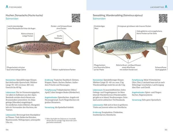 Produktbild: Fischerpr&uuml;fung