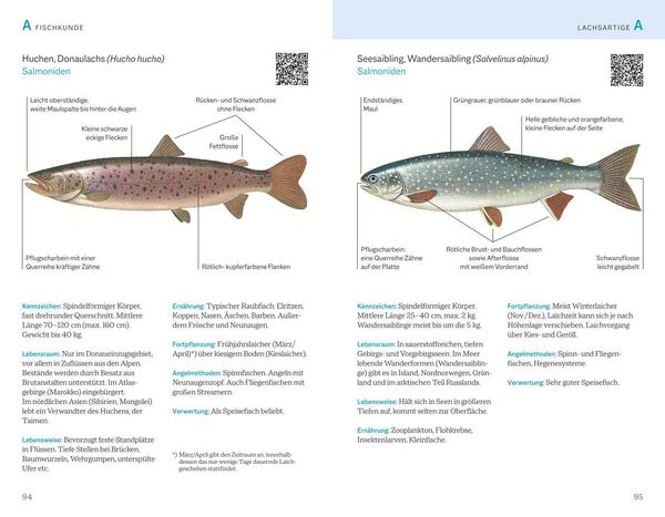 Produktbild: Fischerpr&uuml;fung