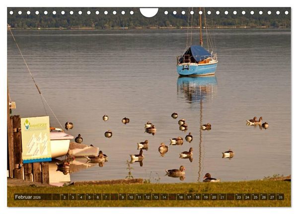 Produktbild: Seest&auml;rke - Der Ammersee (Wandkalender 2026 DIN A4 quer), CALVENDO Monatskalender
