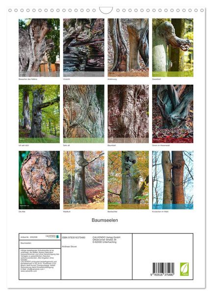Produktbild: Baumseelen (Wandkalender 2026 DIN A3 hoch), CALVENDO Monatskalender