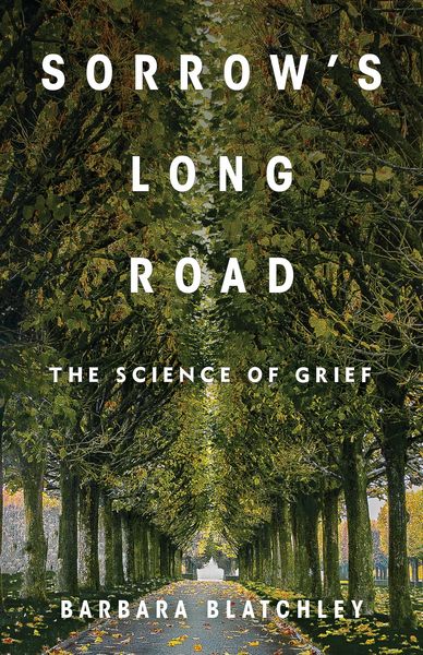 Produktbild: Sorrow's Long Road