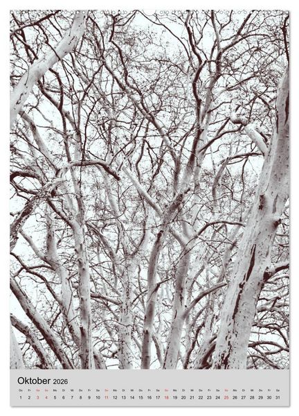 Produktbild: Natur monochrom Die besondere Wirkung (hochwertiger Premium Wandkalender 2026 DIN A2 hoch), Kunstdruck in Hochglanz