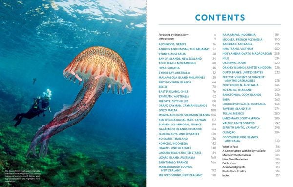 Produktbild: Der ultimative World Diver's Guide