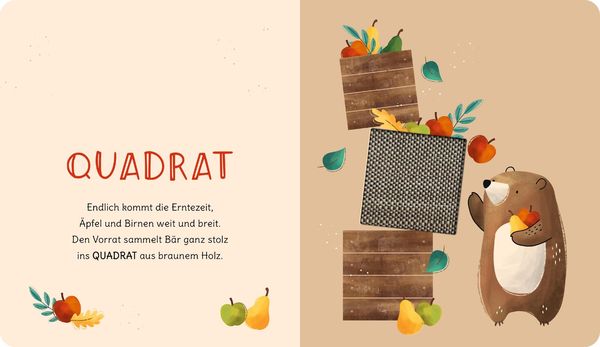 Produktbild: Schau und f&uuml;hl mal, kleiner B&auml;r!