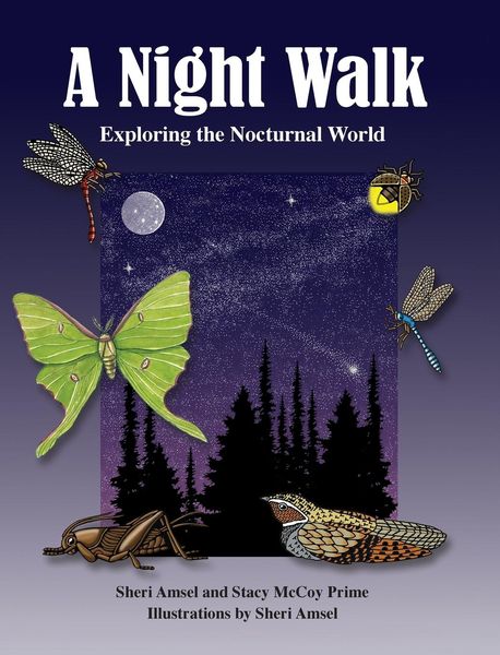 Produktbild: A Night Walk