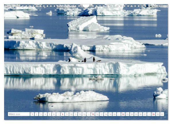 Produktbild: Antarktis - Das Reich der Pinguine (Wandkalender 2026 DIN A3 quer), CALVENDO Monatskalender