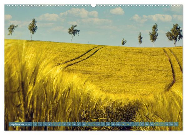 Produktbild: Buschvitz - Geografischer Mittelpunkt der Insel R&uuml;gen (hochwertiger Premium Wandkalender 2026 DIN A2 quer), Kunstdruck in Hochglanz
