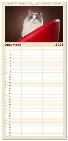 Produktbild: Familienplaner 2026 - Zauberhafte Ragdolls mit 5 Spalten (Wandkalender, 21 x 45 cm) CALVENDO